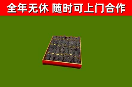 崇左市回收海参